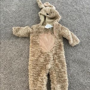Pottery Barn Puppy Costume